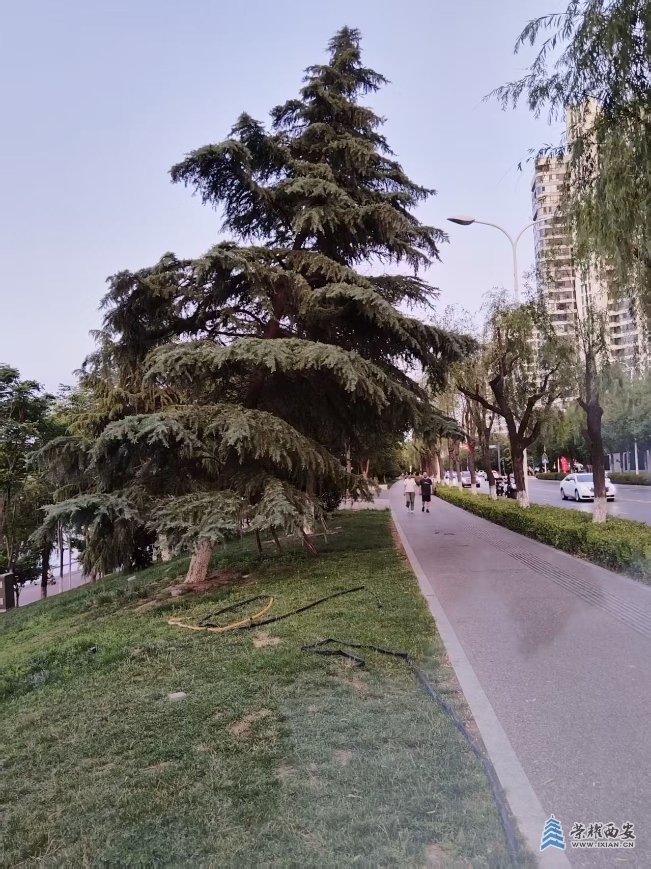 微信图片_20250613165305.jpg
