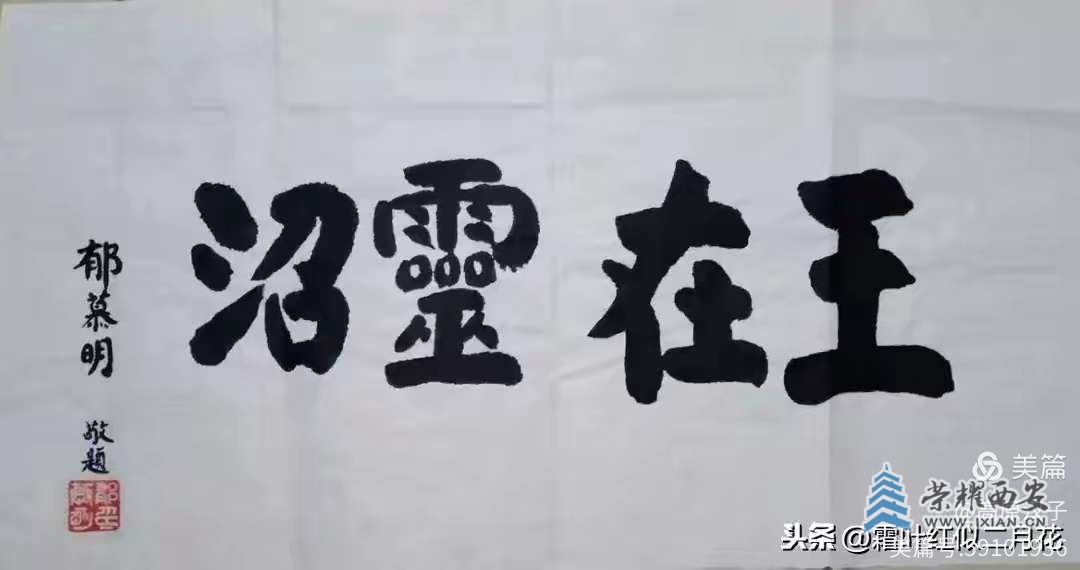20250615214727front2_0_624461_Fuu76PnndJQyPs0PVSwB2-YP_rUW.jpg