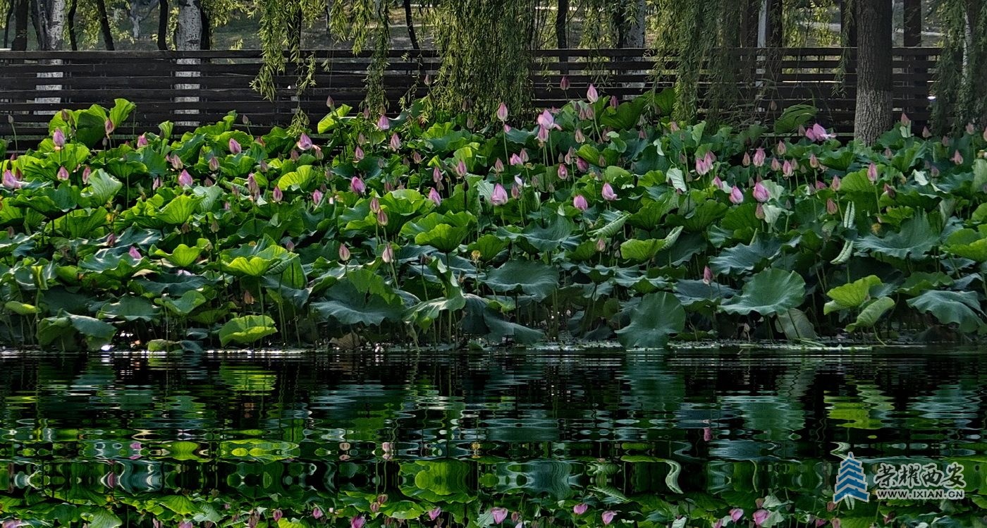 _桃花潭3.JPG