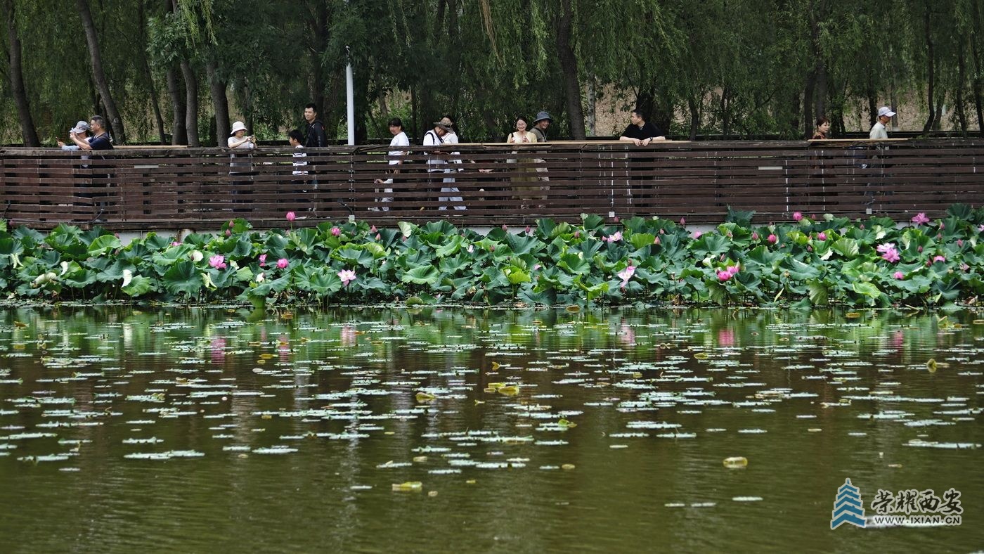 _桃花潭16.JPG