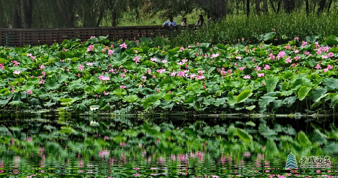 _桃花潭17.JPG