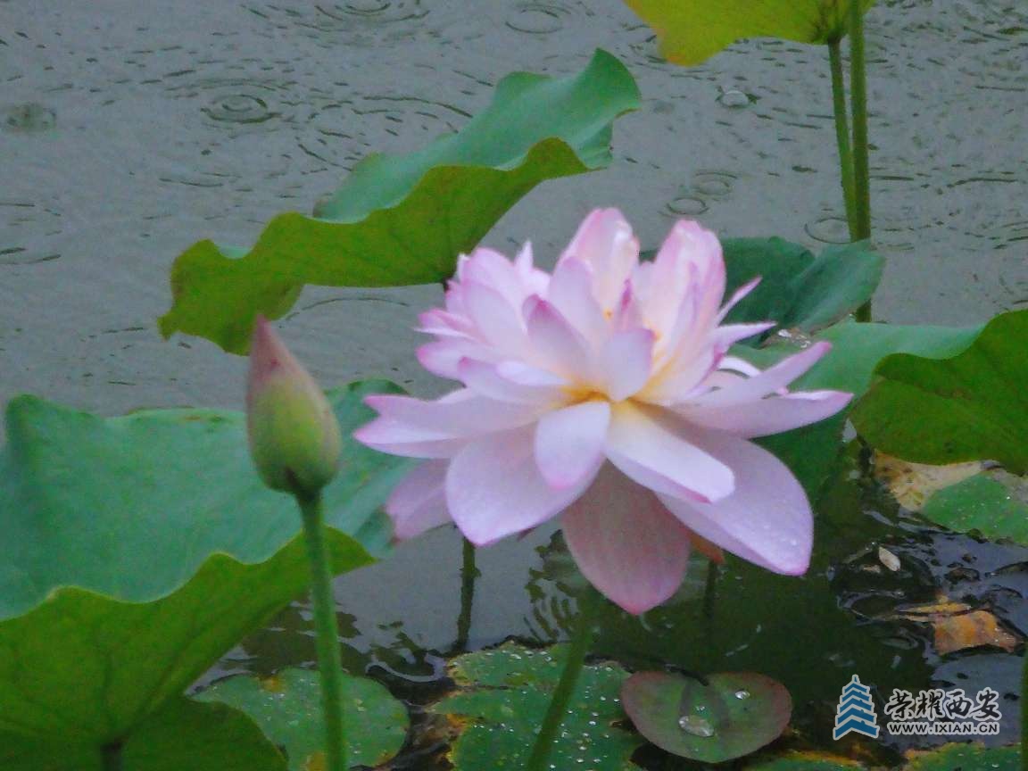 20250617073716front2_0_518588_Foj4HeYcLl7iJBLh8qy7q8kCaLOc.jpg