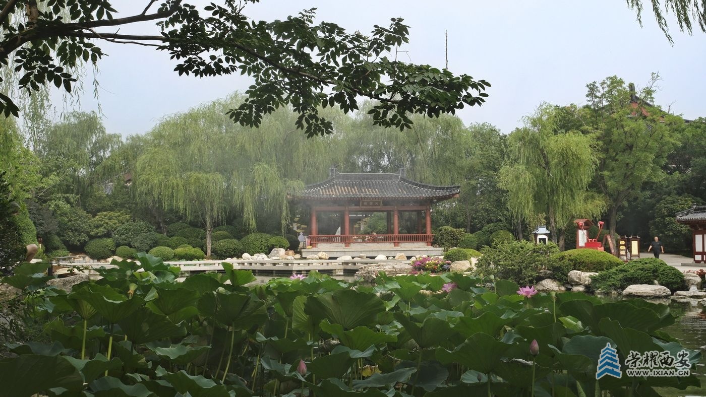 _华清宫26.JPG