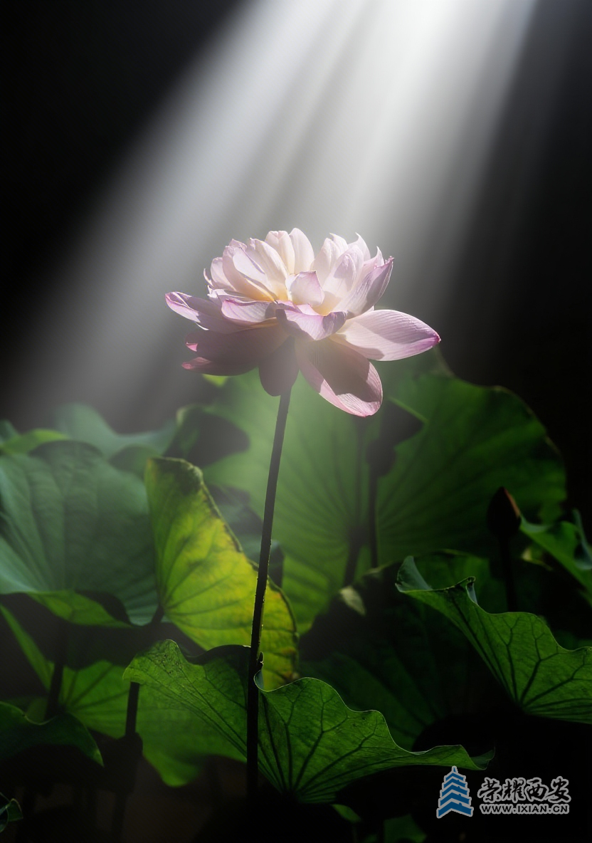 20250623201245front2_0_627177_FoSIPQzGyi2R5heWbFfZcYg-xzqq.png