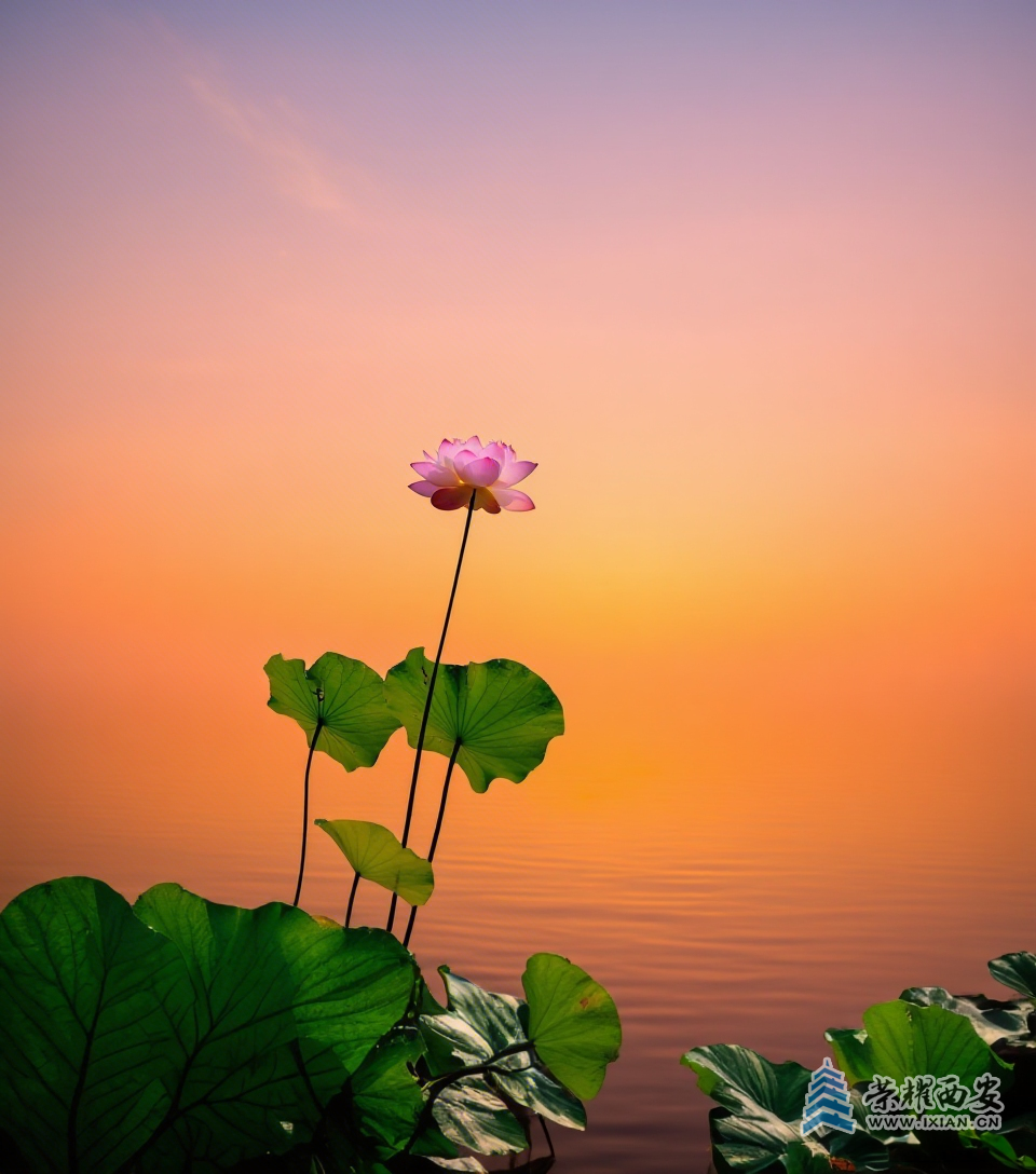 20250623201246front2_0_627177_Fg5mPVRxTjPW17m7D8MoGuda6NJd.png