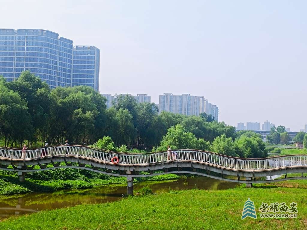 那树，那水，那桥，那人