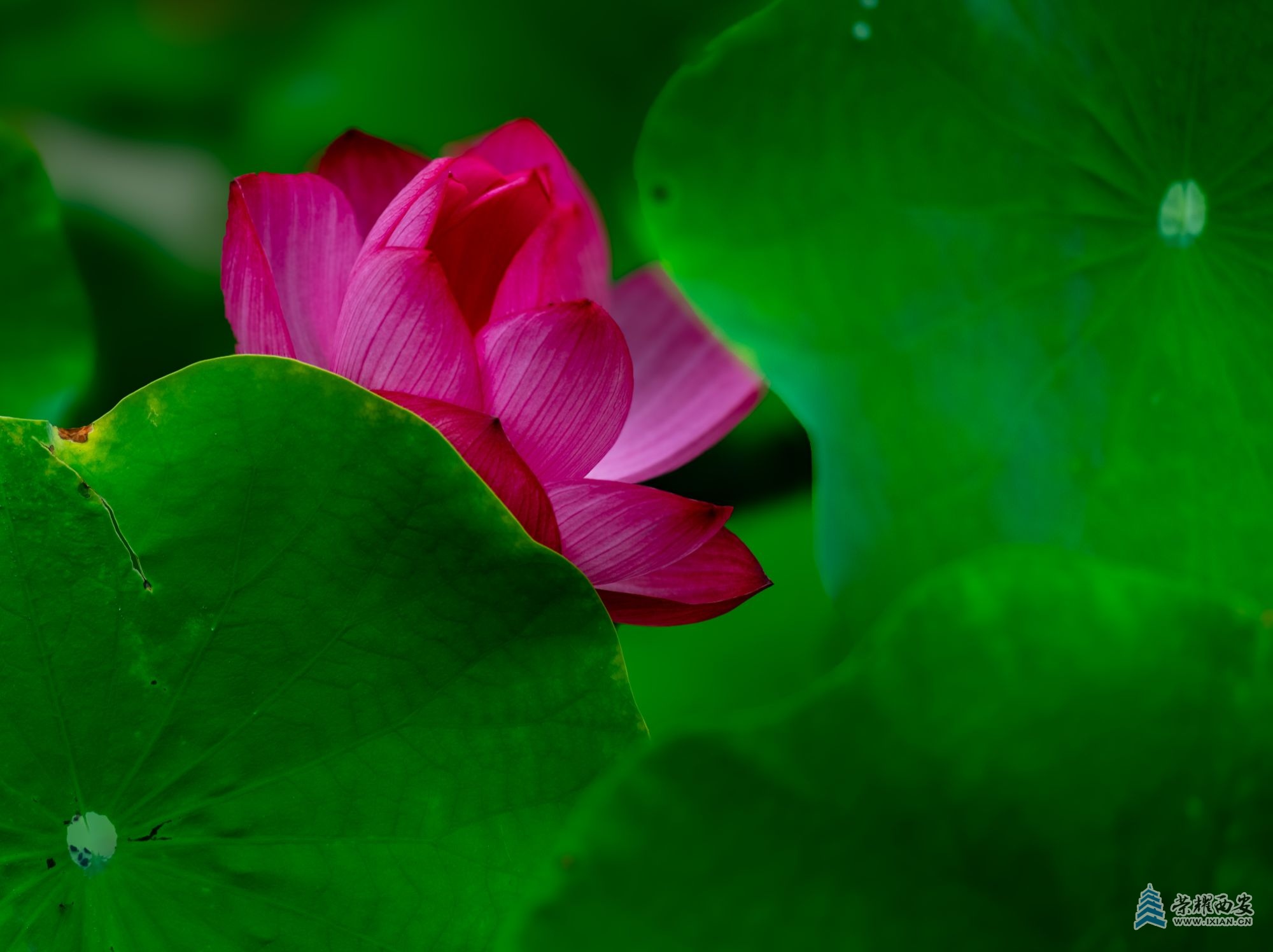 DSCF1247.jpg