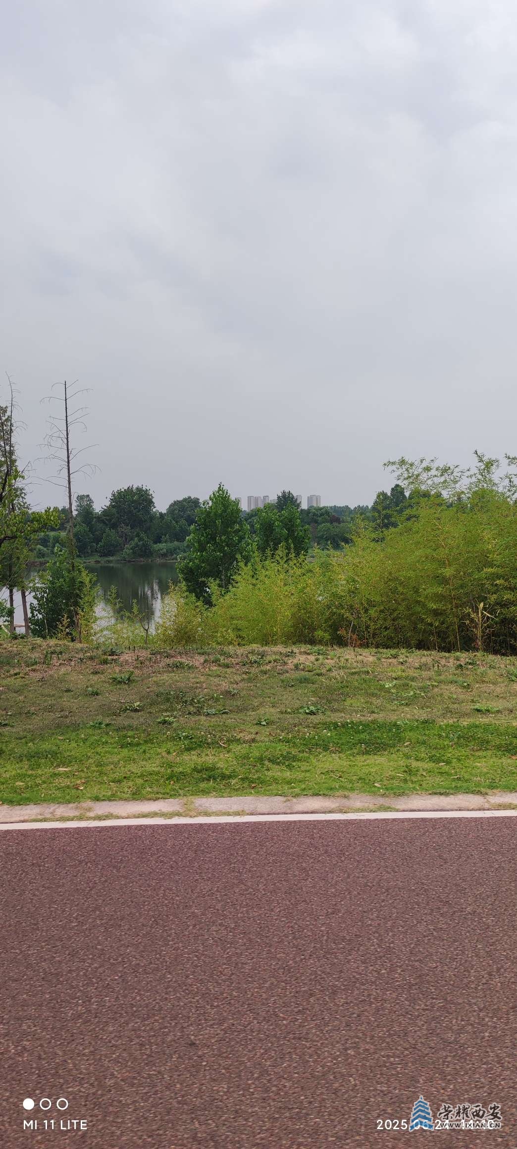 20250625154113front2_0_641246_Fszdr-doqi8mDfSNvPPIbMjpjKFi.jpg