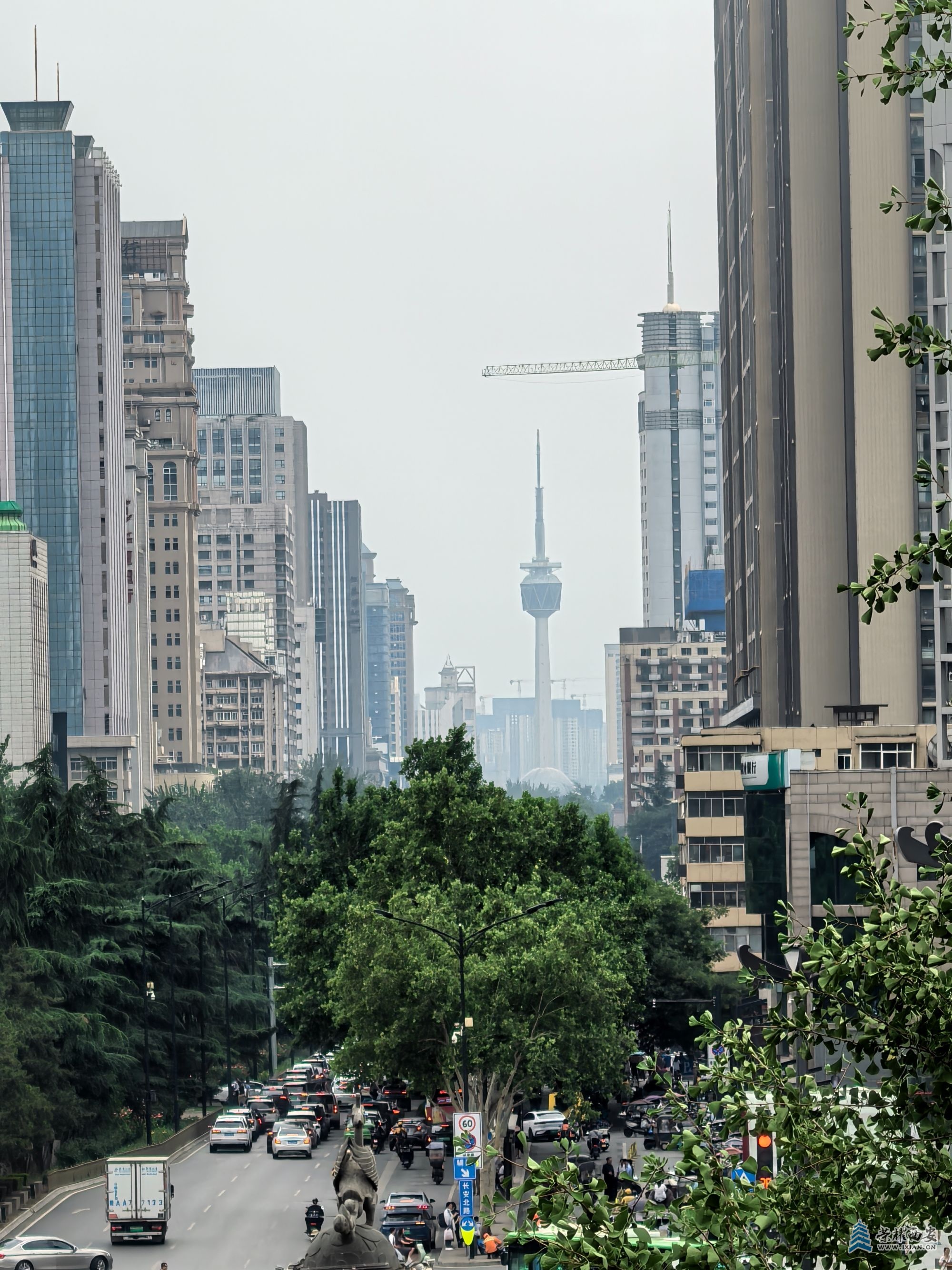 微信图片_20250620204050.jpg