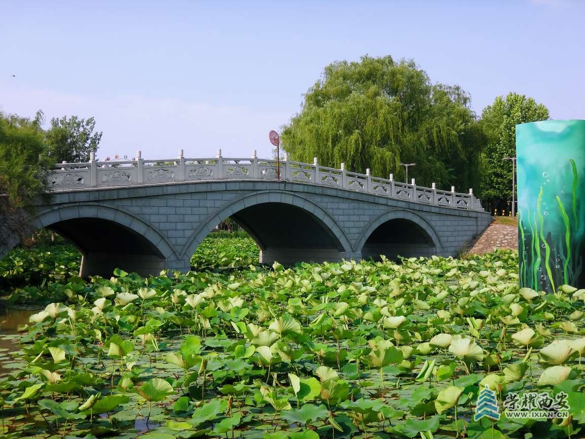 20250627054054front2_0_518588_FirPeRShypDL35J8DW__pXIhEU0A.jpg