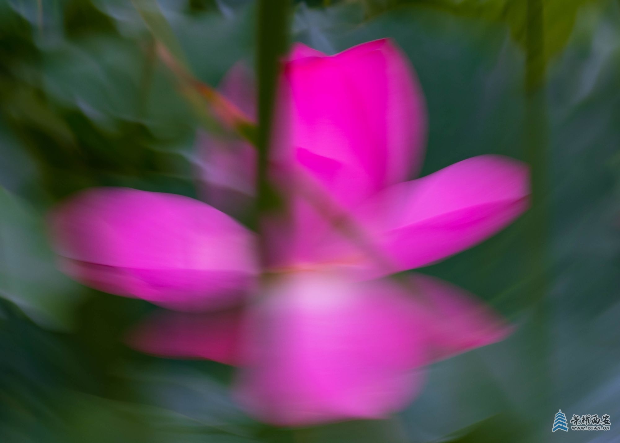 DSCF1415.jpg
