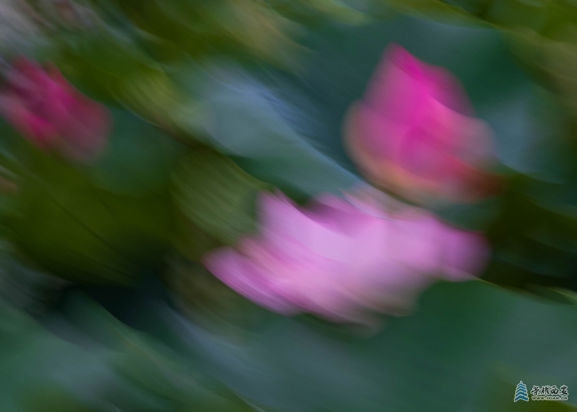 DSCF1418.jpg