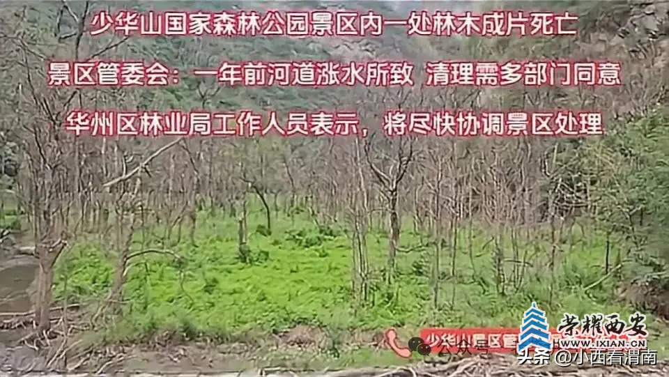 c92a99a483d842a09c0433d98c67111a~tplv-obj:960:541.jpg