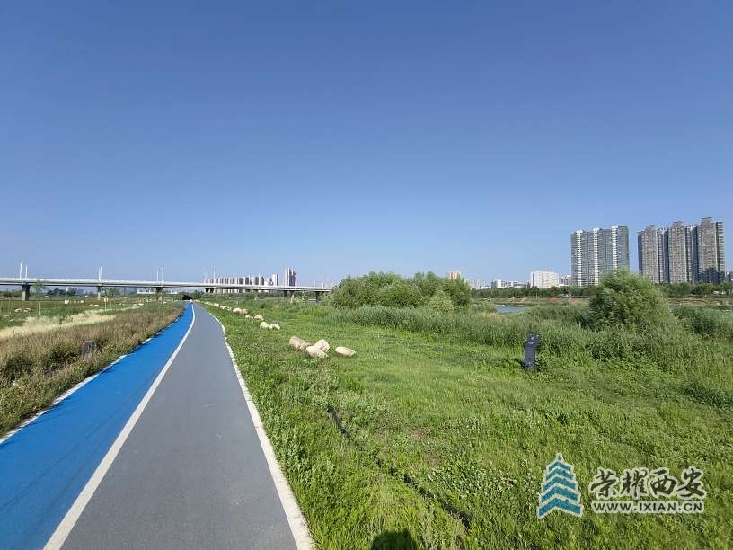 20250629090247front2_0_615410_FtOBM1qDiRivV7BHk5N5zVabTNCy.jpg
