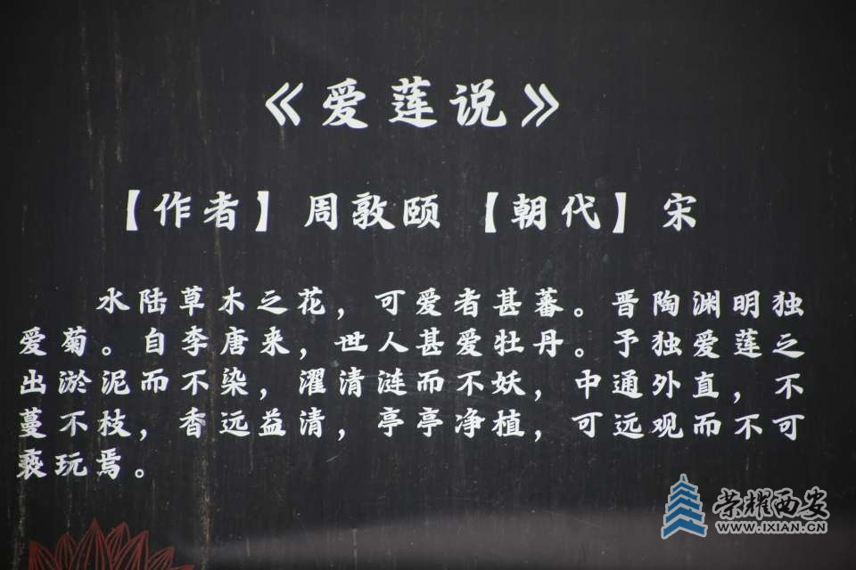 20250630125645front2_0_615410_FtIppXT0SrvEJl7fxrPt4tkSpLiy.jpg