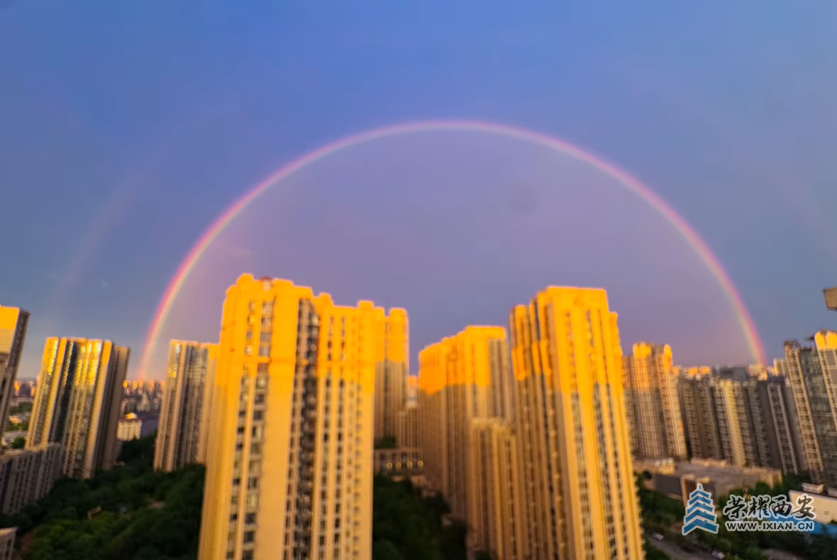 20250701063854front2_0_630412_FqTo9FDMbPV-BJiT19Imm0-f1y9e.png