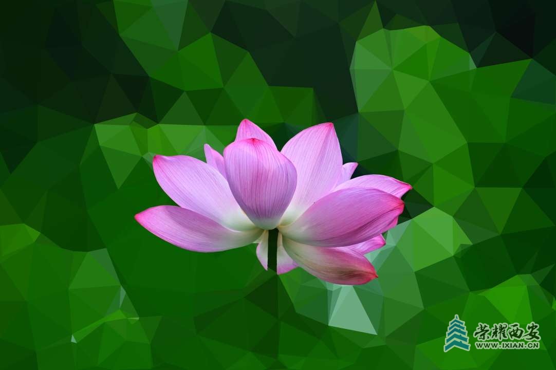 20250701230317front2_0_641246_FjY37ssokL7iH-Kahf900Qoyudqv.jpg