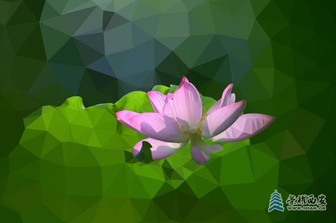 20250701230317front2_0_641246_Fj6FuN_LKaD-AtSduXKIeSUOHTxt.jpg