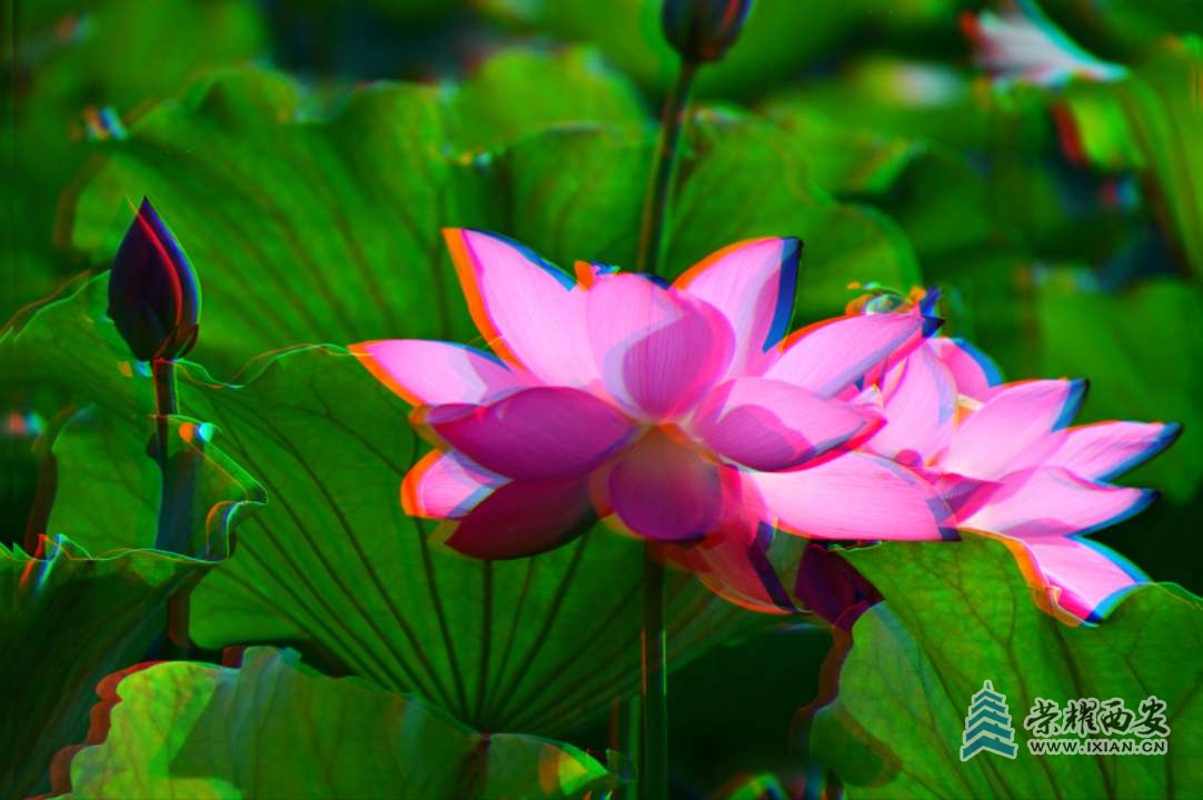 20250701230640front2_0_641246_Fs9viJwptwHBRVkLjxOLSgEoFuah.jpg