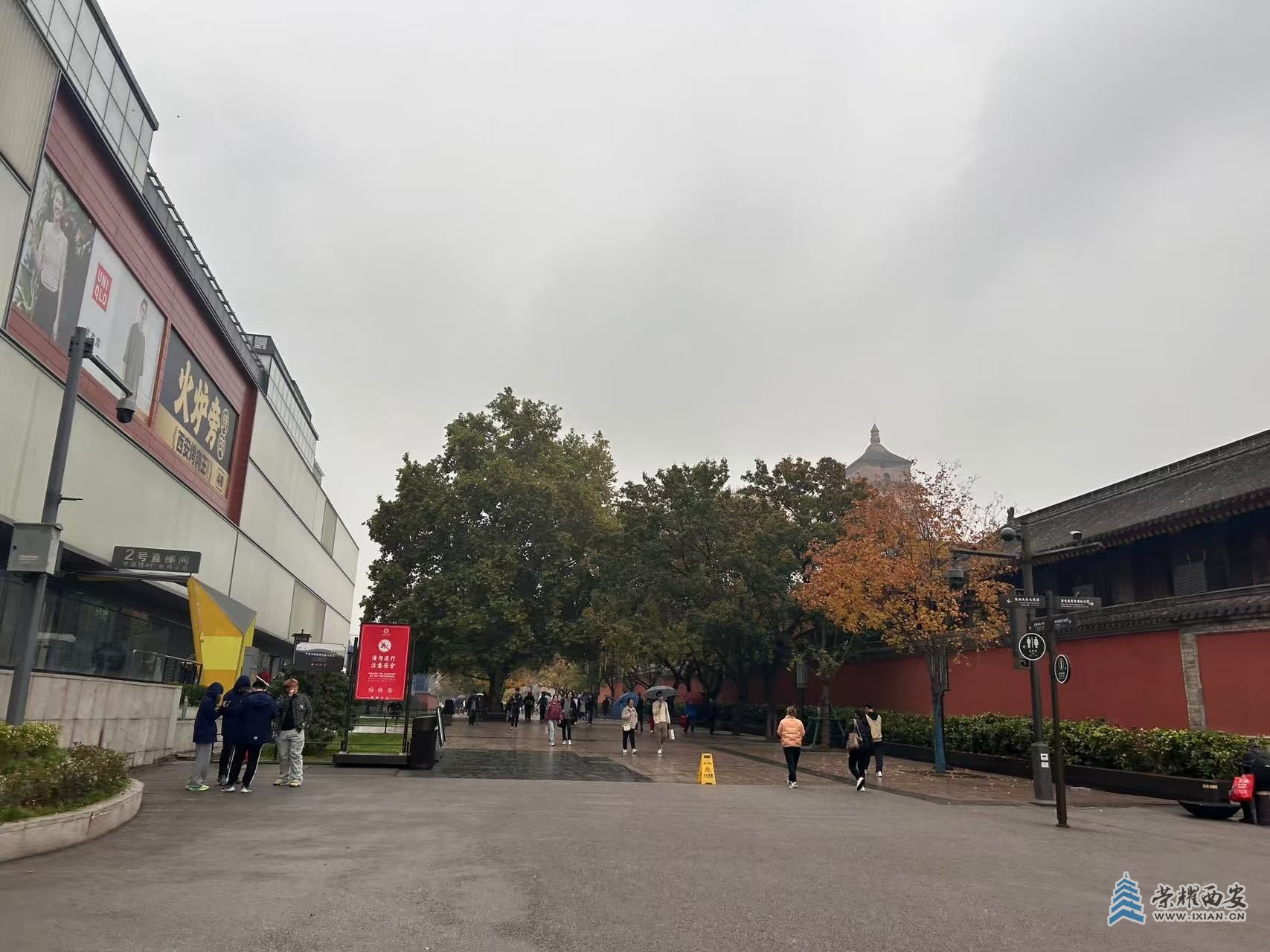 微信图片_20241118093429.jpg