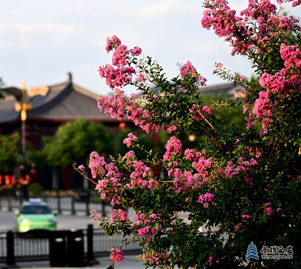 20250705110002front2_0_641246_FqohT8r53HluiGWrEXe8Ly3sg9QG.jpg