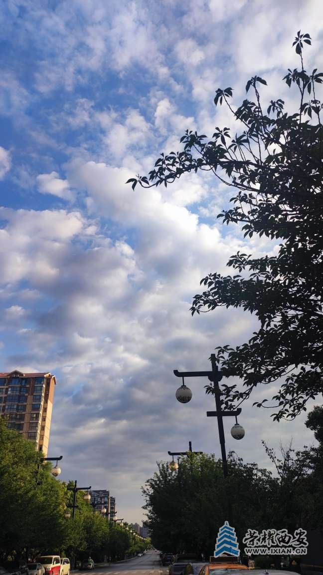 20250706072703front2_0_641246_Fp6-ewSs7GBfx1p0Y2ISLpVyHiSF.jpg
