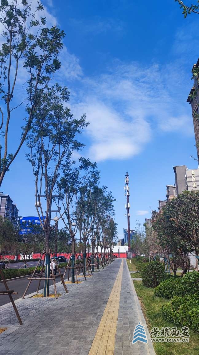 20250706072704front2_0_641246_FhkDbI5OadIQjI7OSZuvYpKHBVwJ.jpg
