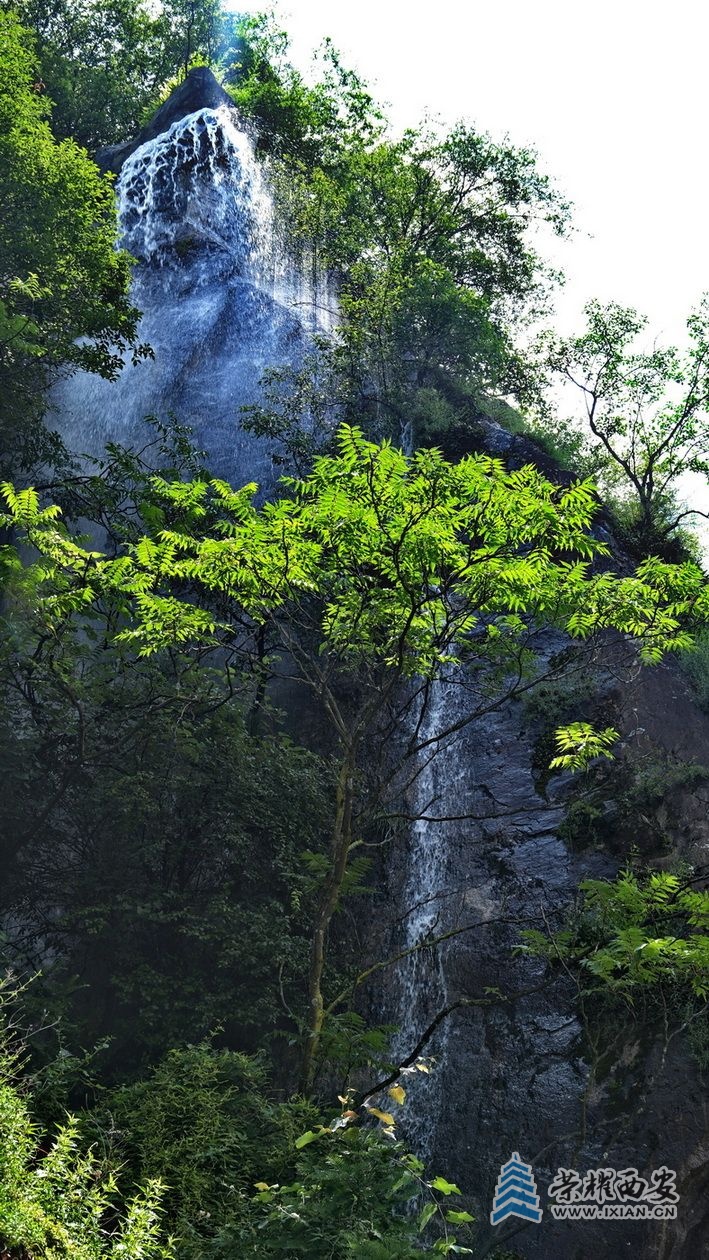 _翠华山28.JPG