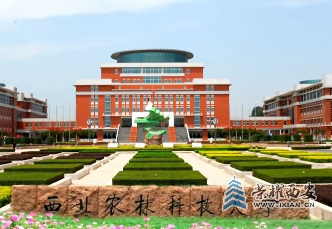 微信截图_20250707094650.jpg