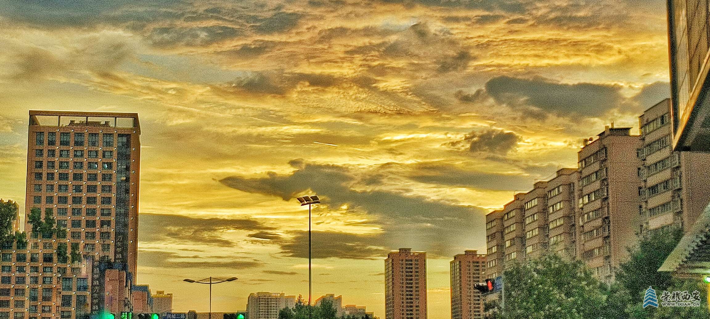 20250707220531front2_0_648734_Flm4A309_-G80dw55waehlfUOo4F.jpg