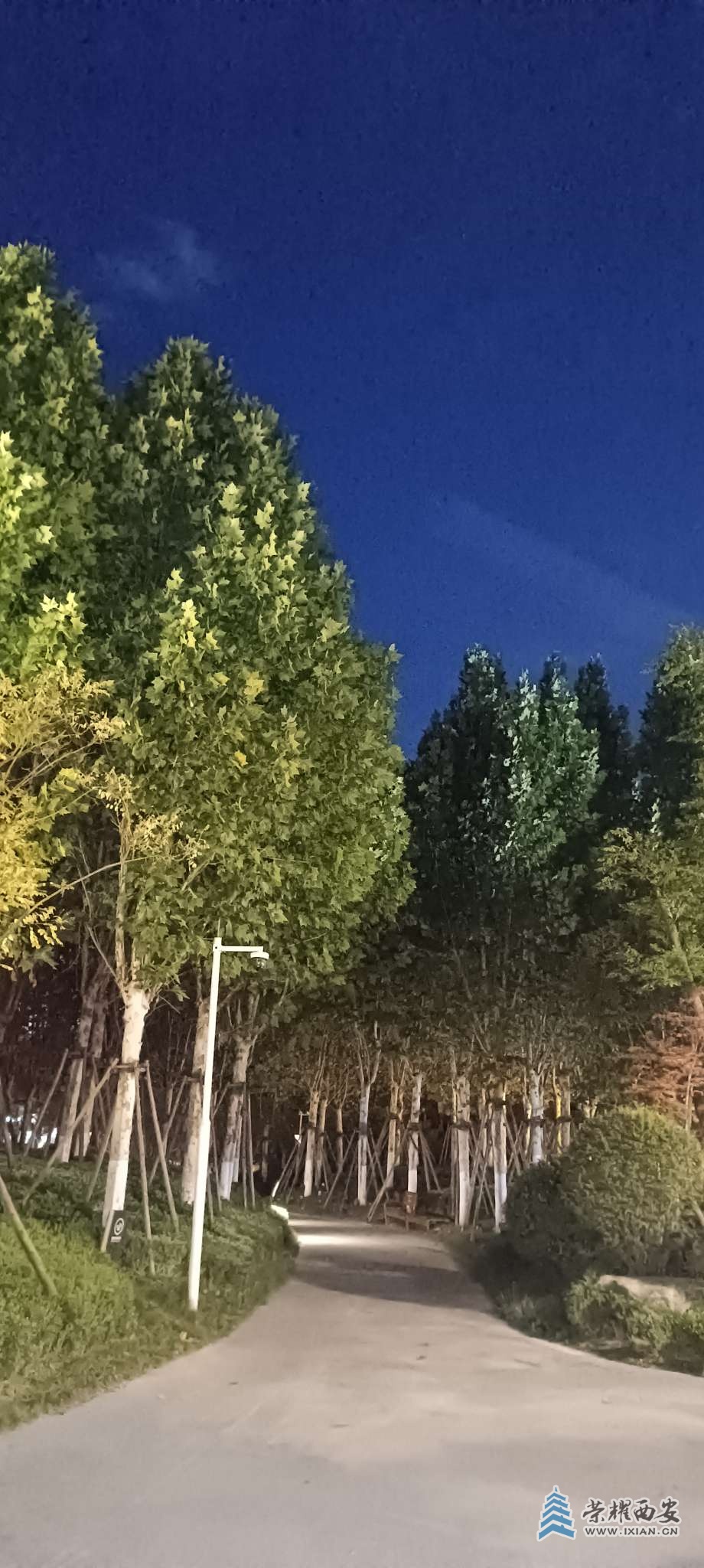 20250709203624front2_0_642048_Fim6MGRVBrHK2IkQRtuKBynQRgOn.jpg