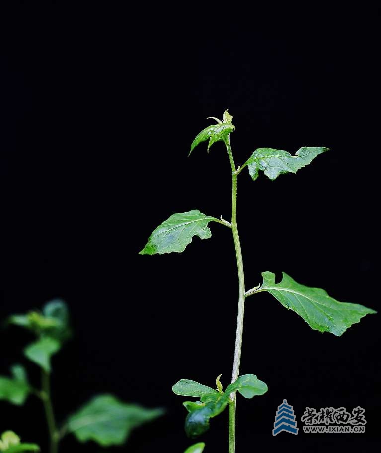 20250710212707front2_0_627177_FmA3pjY3w8rnuLHWVDF8u_7XiNWR.jpg