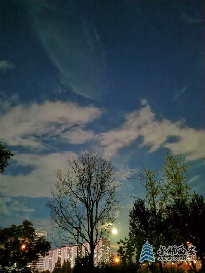 20250711131714front2_0_571256_FgCL8FyDUA128PZFyxfLA0563r1T.jpg