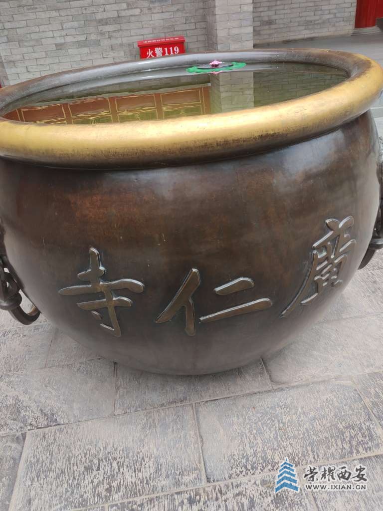 20250711151055front2_0_491197_FoG563xoveOaDgpsaP-KI65pSCCq.jpg