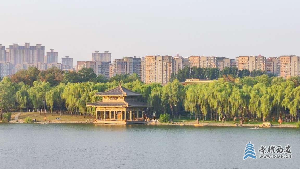 20250712063008front2_0_641246_FpSAFaveazOv7jsSLyBebbkoMBUX.jpg
