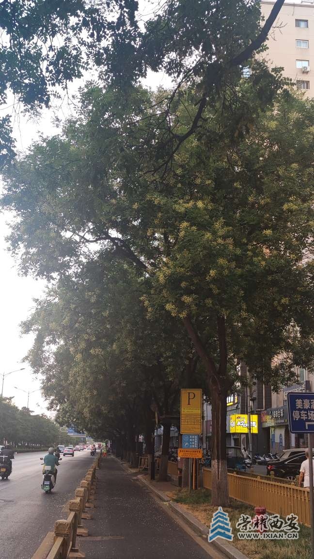 20250714075603front2_0_641246_FqrtjdBo8nEiyiiMqNpAo6i2GfB0.jpg
