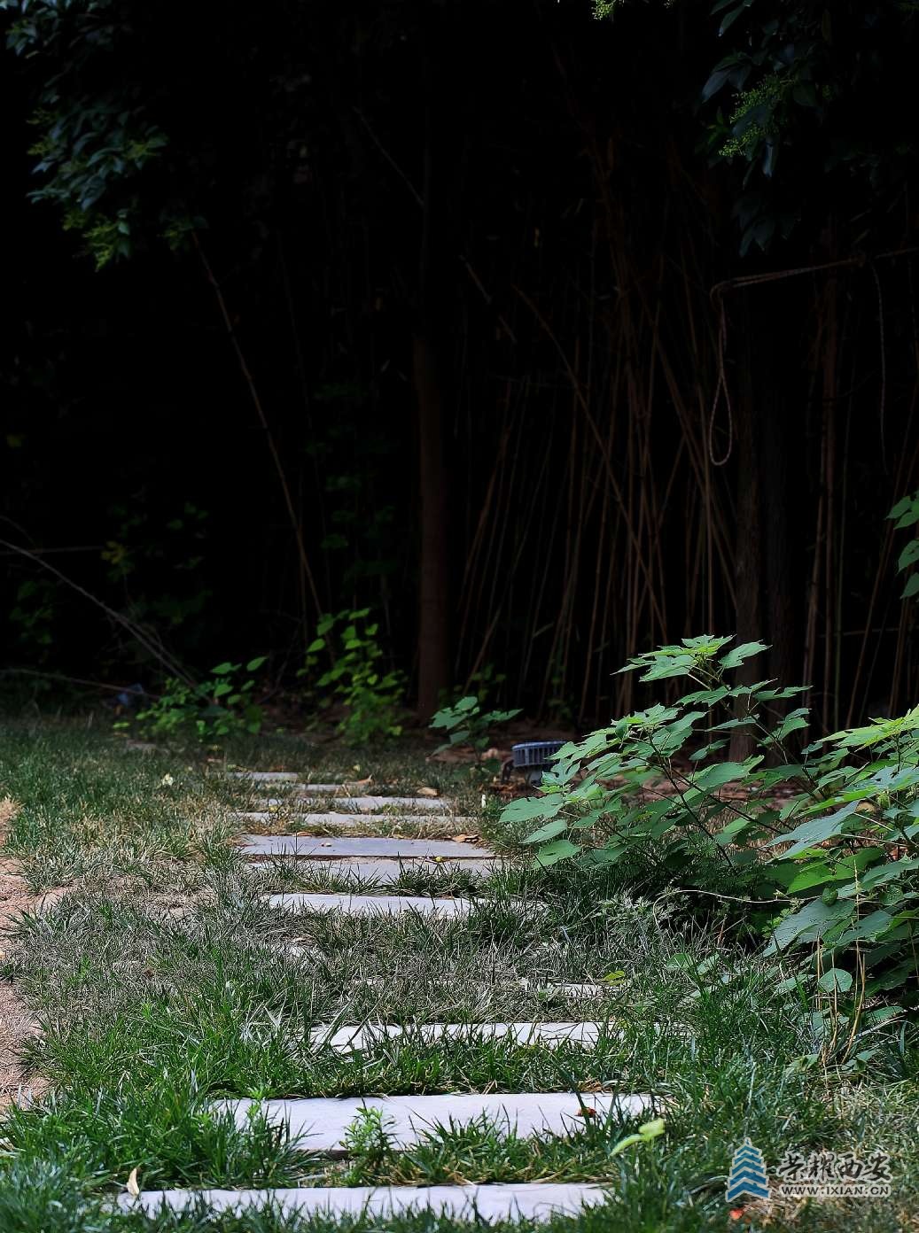 20250714211627front2_0_627177_FsG1yxIUq4_I2X5Q2C13rp7cxyqN.jpg