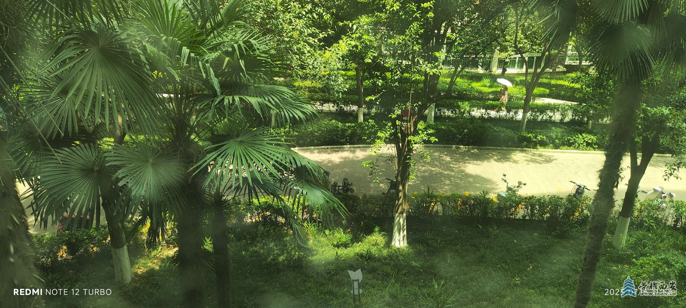 20250715120051front2_0_99443_FhgKIJP_mMZhsmcpWDG5ddqgpUtU.jpg