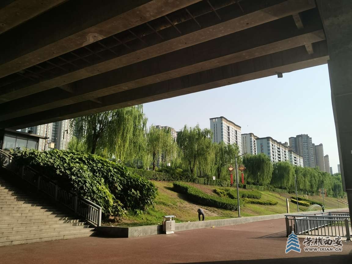 20250716094806front2_0_543162_FofRs-Jgs9crDXMDsRI8tJ00ZlU1.jpg
