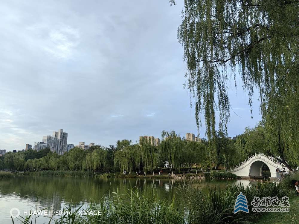 20250720215147front2_0_630412_FtYA_8M-MbV6BRMUhHIi_crgH_T_.jpg