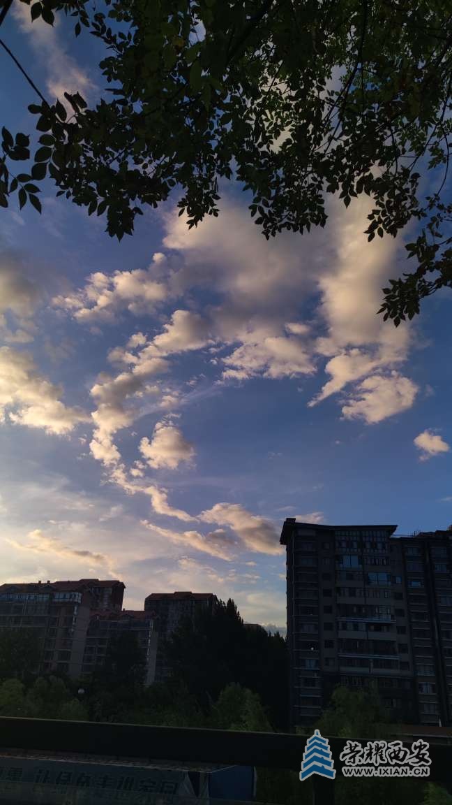 20250723220557front2_0_641246_Fp1zxgmOYus87fN6_aQCP6xYv923.jpg