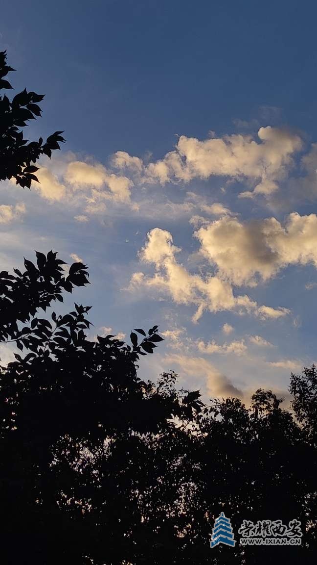 20250723220557front2_0_641246_FjZ3yJrnZnkrBVjuHuRUN2TWE-cV.jpg