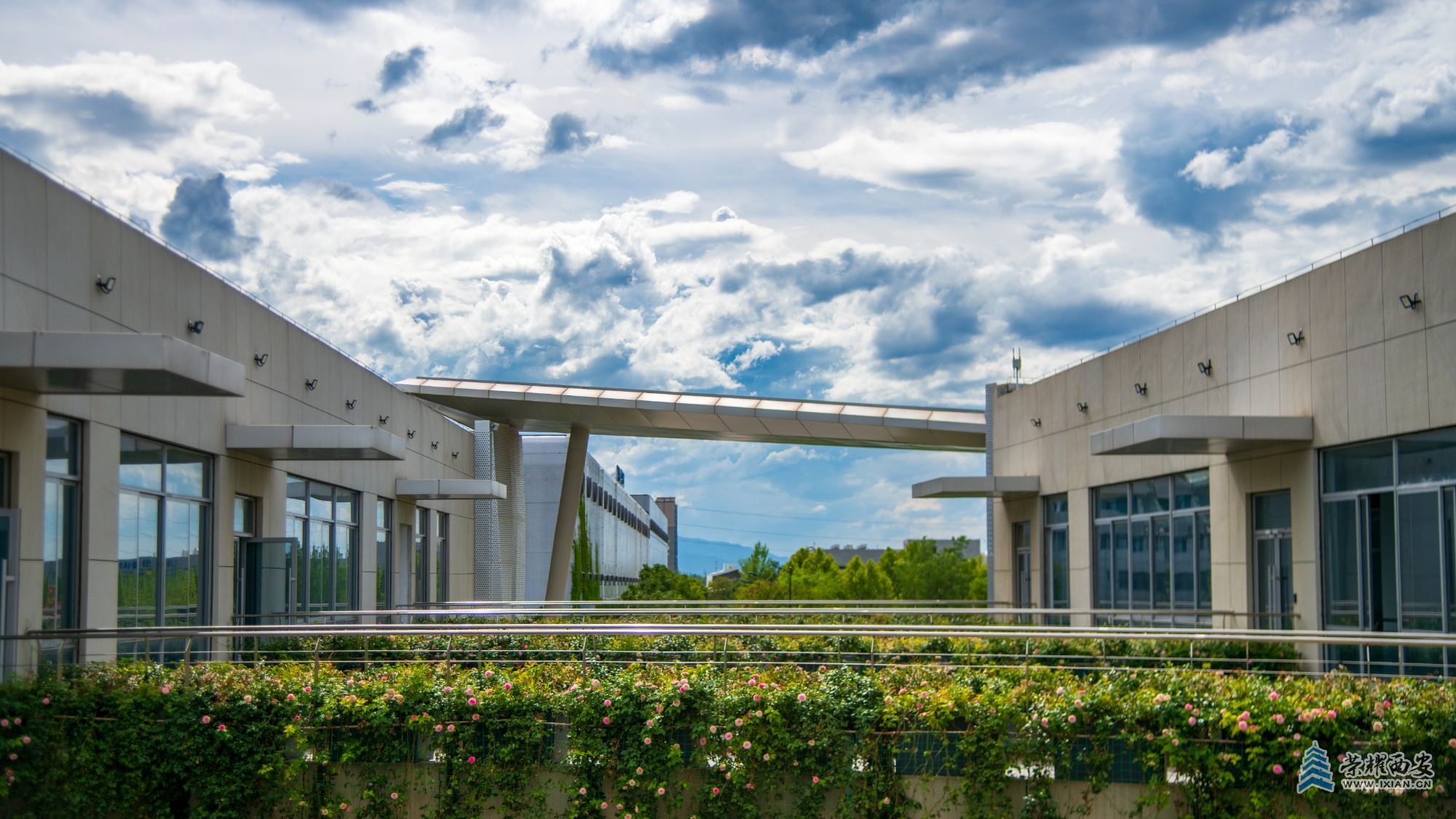 _DSC8179 拷贝.jpg