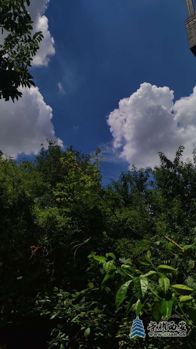 20250726123606front2_0_641246_FsMEhY45b4eoY6d00mL46oSmfXq5.jpg
