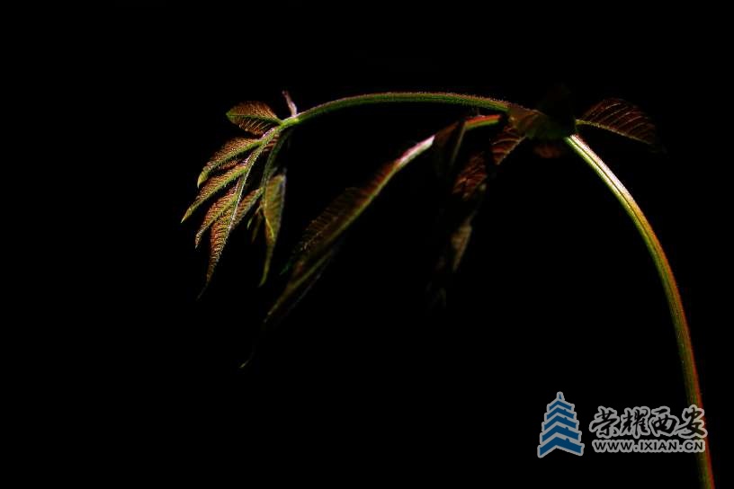 20250729213700front2_0_627177_Fj-e0bzc7czbWFGgv7MlSLDRQ-9z.jpg