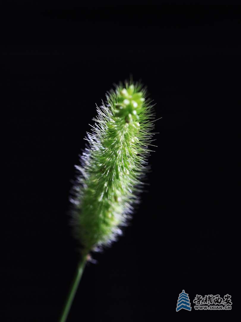 20250729213700front2_0_627177_Fn1MmJ22dpTGYBjnKGLUb9P-IJzi.jpg