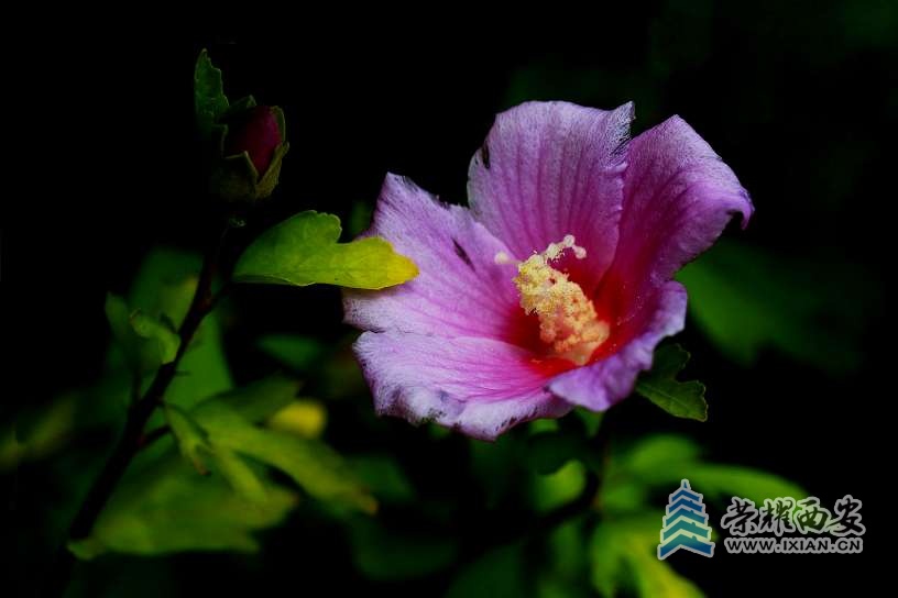 20250730201136front2_0_627177_FvyhqVc_wLbF6AGquQnpAZeIQA2a.jpg