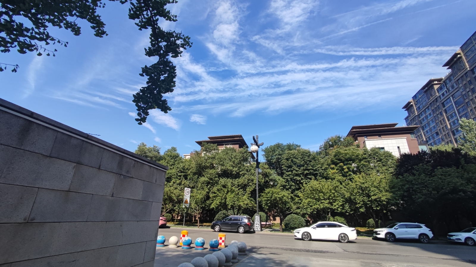 a1516cb29ab3cf8473b764f972a0d7d9.jpg