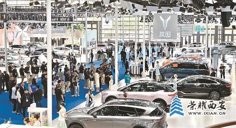 ud2e2WqLn155vW6K.jpg