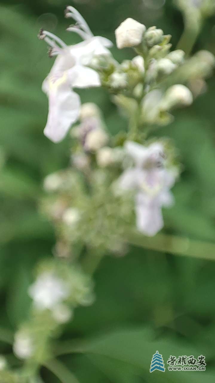 20250804080852front2_0_641246_FhYxLxF-CewIlgyQv6O5aw1P1mXO.jpg